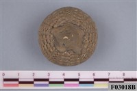 藏品(刻肋海膽)的圖片